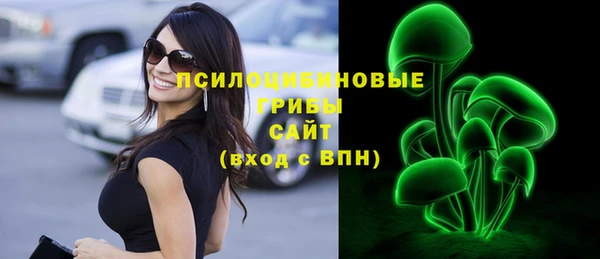 круглые Алексеевка