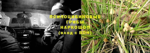 круглые Алексеевка