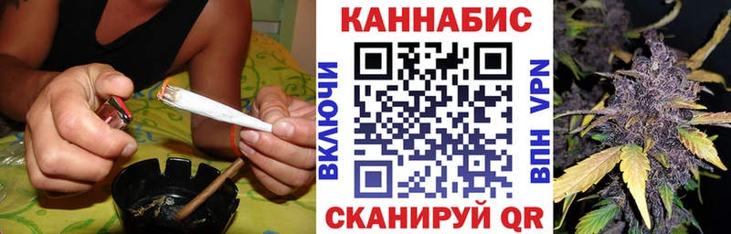 Бошки Шишки White Widow  дарнет шоп  Оса 